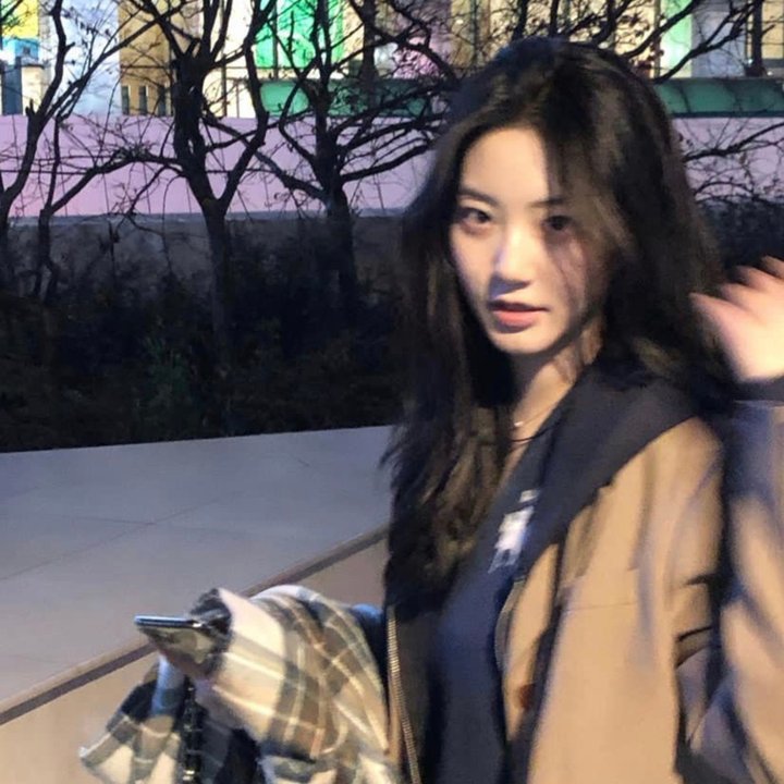 友情岁月之山鸡故事